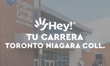 Maestrías | Niagara College | Toronto🇨🇦