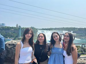 ca43485e-ab5b-42ea-9ae8-85aff51ff653